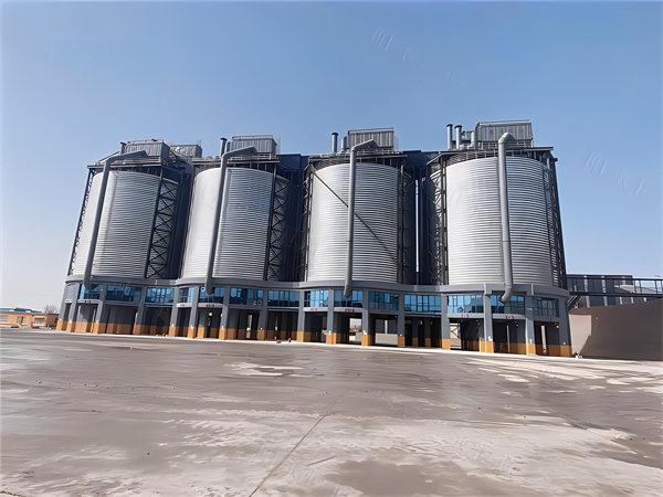 巴彦淖尔大型钢板仓建造施工造价分析与优化策略